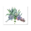 Picture of Succulent Group _GroupedProduct_Rectangle_Landscape_Canvas_