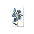 Picture of Blue Poppies II _GroupedProduct_Rectangle_Portrait_Canvas_