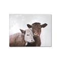 Picture of Cow buddies _GroupedProduct_Rectangle_Landscape_Canvas_