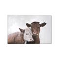 Picture of Cow buddies _GroupedProduct_Rectangle_Landscape_Canvas_