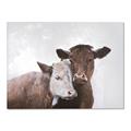 Picture of Cow buddies _GroupedProduct_Rectangle_Landscape_Canvas_