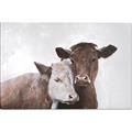 Picture of Cow buddies _GroupedProduct_Rectangle_Landscape_Canvas_