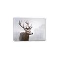 Picture of Reindeer _GroupedProduct_Rectangle_Landscape_Canvas_
