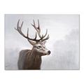 Picture of Reindeer _GroupedProduct_Rectangle_Landscape_Canvas_