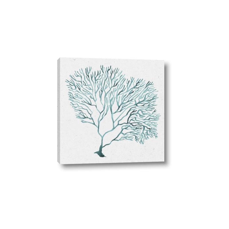 Picture of Teal Coral I  _GroupedProduct_Square_Canvas_
