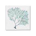Picture of Teal Coral I  _GroupedProduct_Square_Canvas_