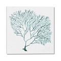 Picture of Teal Coral I  _GroupedProduct_Square_Canvas_