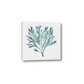 Picture of Teal Coral II  _GroupedProduct_Square_Canvas_