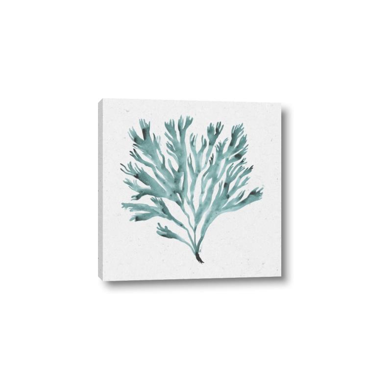 Picture of Teal Coral II  _GroupedProduct_Square_Canvas_