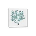 Picture of Teal Coral II  _GroupedProduct_Square_Canvas_