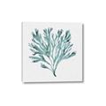 Picture of Teal Coral II  _GroupedProduct_Square_Canvas_