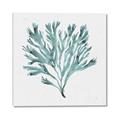 Picture of Teal Coral II  _GroupedProduct_Square_Canvas_