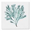 Picture of Teal Coral II  _GroupedProduct_Square_Canvas_