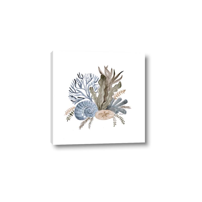 Picture of Ocean Coral ll _GroupedProduct_Square_Canvas_