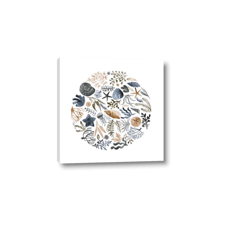Picture of Coral circle II _GroupedProduct_Square_Canvas_