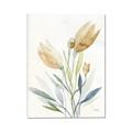Picture of Soft Tulips  I _GroupedProduct_Rectangle_Portrait_Canvas_