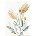 Picture of Soft Tulips  I _GroupedProduct_Rectangle_Portrait_Canvas_