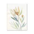 Picture of Soft Tulips II _GroupedProduct_Rectangle_Portrait_Canvas_