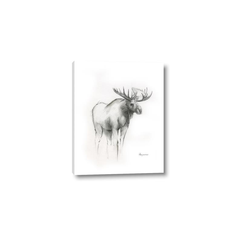 Picture of Moose Charcoal _GroupedProduct_Rectangle_Portrait_Canvas_