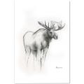 Picture of Moose Charcoal _GroupedProduct_Rectangle_Portrait_Canvas_