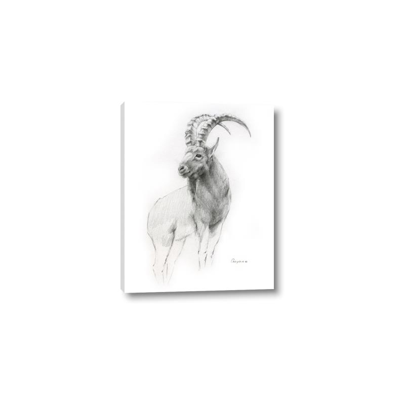 Picture of Ram Charcoal _GroupedProduct_Rectangle_Portrait_Canvas_