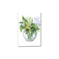 Picture of Green Vase I  _GroupedProduct_Rectangle_Portrait_Canvas_