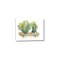 Picture of Splashed Cactus I  _GroupedProduct_Rectangle_Landscape_Canvas_