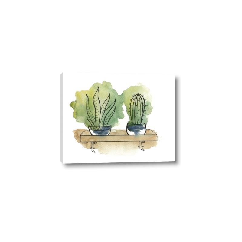 Picture of Splashed Cactus I  _GroupedProduct_Rectangle_Landscape_Canvas_