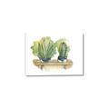 Picture of Splashed Cactus I  _GroupedProduct_Rectangle_Landscape_Canvas_