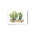 Picture of Splashed Cactus I  _GroupedProduct_Rectangle_Landscape_Canvas_