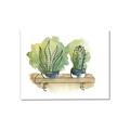 Picture of Splashed Cactus I  _GroupedProduct_Rectangle_Landscape_Canvas_