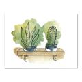 Picture of Splashed Cactus I  _GroupedProduct_Rectangle_Landscape_Canvas_