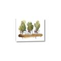 Picture of Splashed Cactus II  _GroupedProduct_Rectangle_Landscape_Canvas_