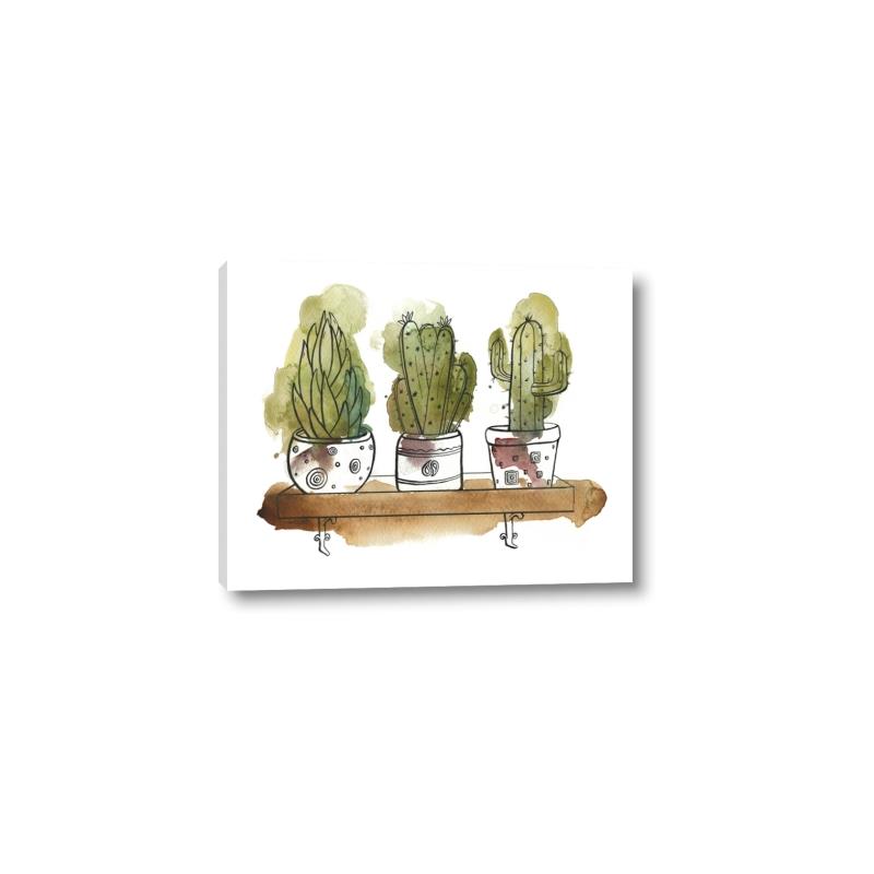 Picture of Splashed Cactus II  _GroupedProduct_Rectangle_Landscape_Canvas_