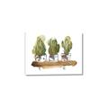 Picture of Splashed Cactus II  _GroupedProduct_Rectangle_Landscape_Canvas_