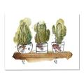 Picture of Splashed Cactus II  _GroupedProduct_Rectangle_Landscape_Canvas_