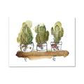 Picture of Splashed Cactus II  _GroupedProduct_Rectangle_Landscape_Canvas_