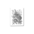 Picture of Sketched Flower II  _GroupedProduct_Rectangle_Portrait_Canvas_