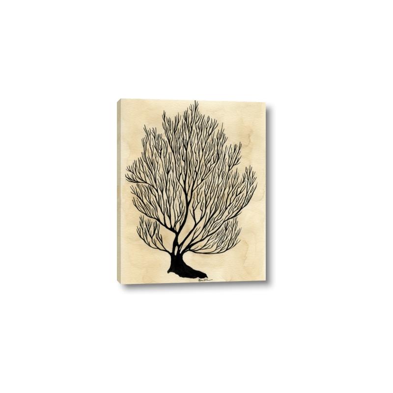 Picture of Neutral Coral I  _GroupedProduct_Rectangle_Portrait_Canvas_