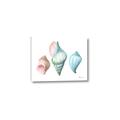 Picture of Seashells I  _GroupedProduct_Rectangle_Landscape_Canvas_