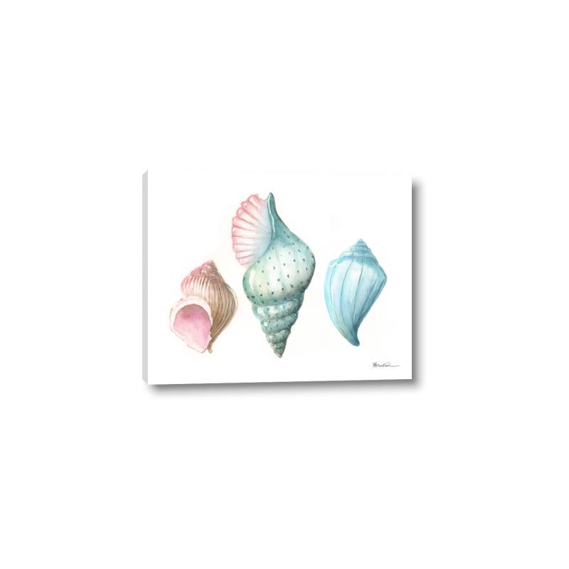 Picture of Seashells I  _GroupedProduct_Rectangle_Landscape_Canvas_