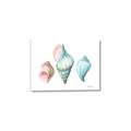 Picture of Seashells I  _GroupedProduct_Rectangle_Landscape_Canvas_