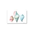 Picture of Seashells I  _GroupedProduct_Rectangle_Landscape_Canvas_