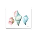 Picture of Seashells I  _GroupedProduct_Rectangle_Landscape_Canvas_