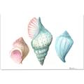 Picture of Seashells I  _GroupedProduct_Rectangle_Landscape_Canvas_
