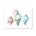 Picture of Seashells I  _GroupedProduct_Rectangle_Landscape_Canvas_