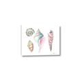 Picture of Seashells II  _GroupedProduct_Rectangle_Landscape_Canvas_