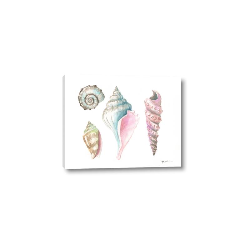 Picture of Seashells II  _GroupedProduct_Rectangle_Landscape_Canvas_