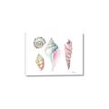 Picture of Seashells II  _GroupedProduct_Rectangle_Landscape_Canvas_