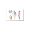 Picture of Seashells II  _GroupedProduct_Rectangle_Landscape_Canvas_
